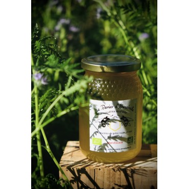 Miel d’acacia Bio (500g.)