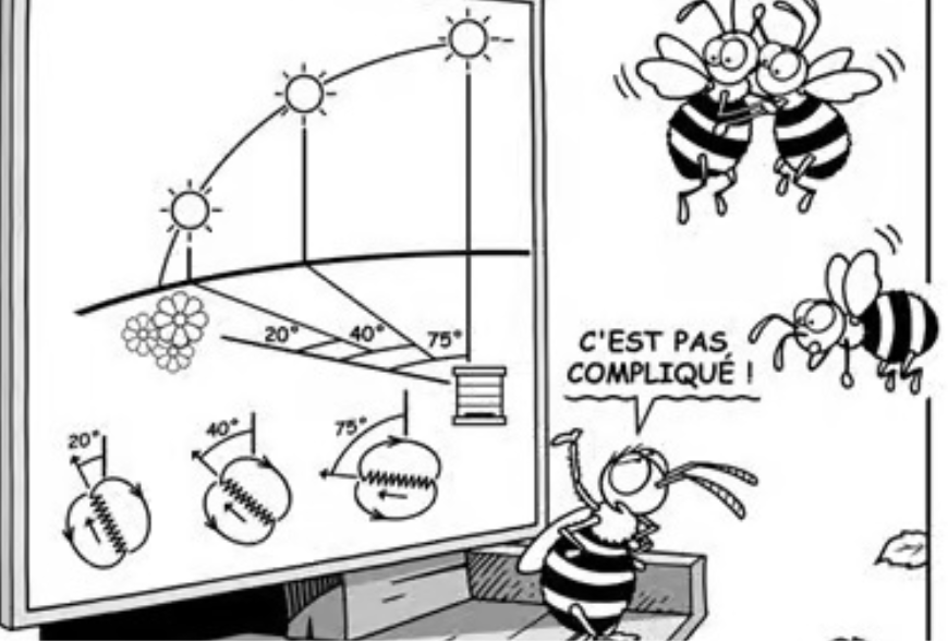 Le langage des abeilles